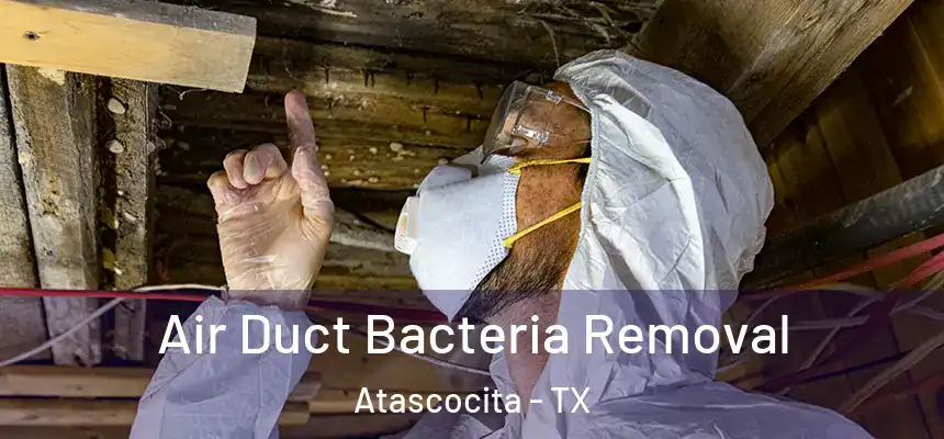 Air Duct Bacteria Removal Atascocita - TX