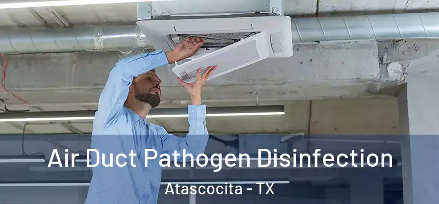 Air Duct Pathogen Disinfection Atascocita - TX