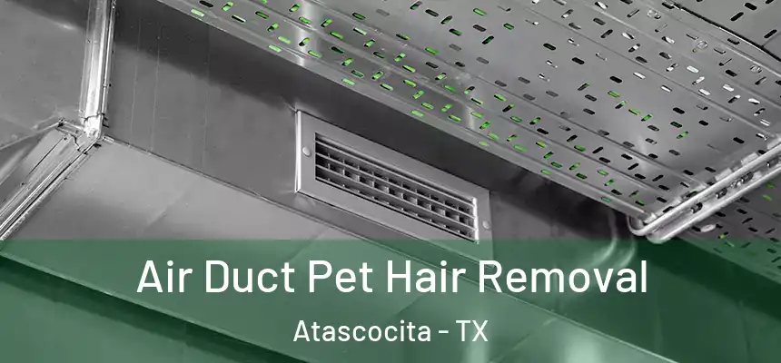 Air Duct Pet Hair Removal Atascocita - TX