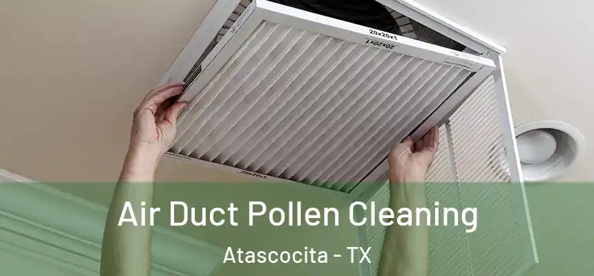 Air Duct Pollen Cleaning Atascocita - TX