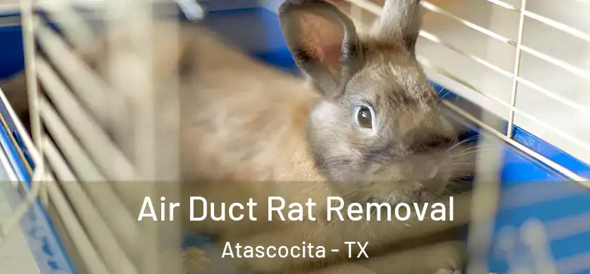 Air Duct Rat Removal Atascocita - TX