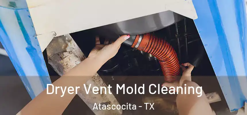 Dryer Vent Mold Cleaning Atascocita - TX