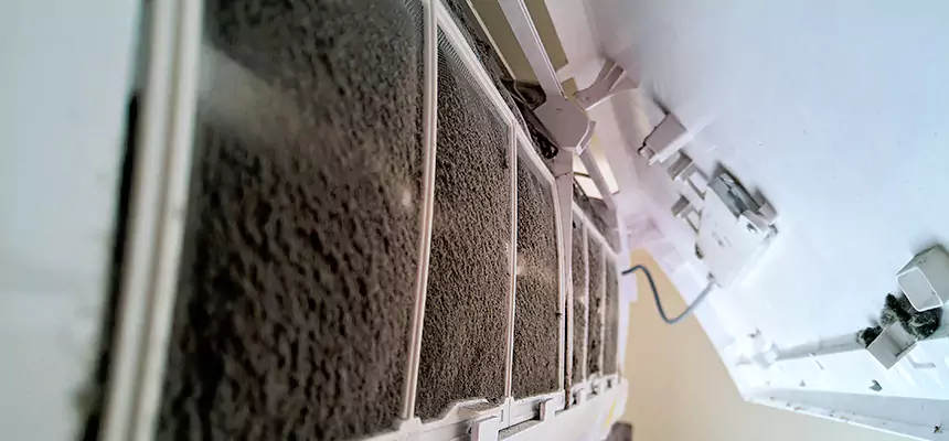 Preventive Air Duct Bacteria Removal in Atascocita