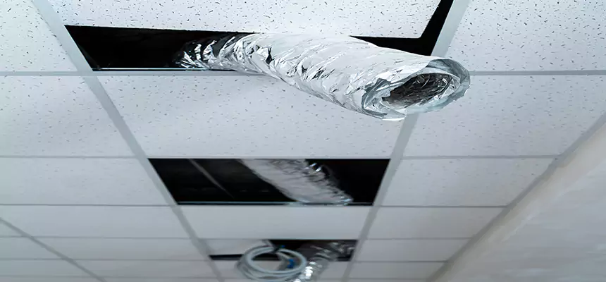 Affordable HVAC Sanitizing After Pest Removal in Atascocita