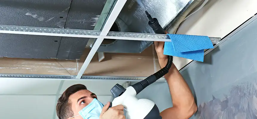Our Air Duct Rodent Removal Services in Atascocita, TX