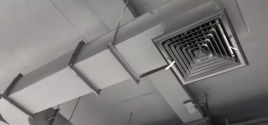 Restorative Allergy Relief Vent Cleaning – Coil, Blower & Housing Detail in Atascocita