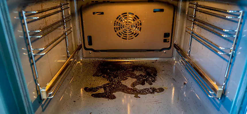 Our Dryer Vent Mold Cleaning Services in Atascocita, TX