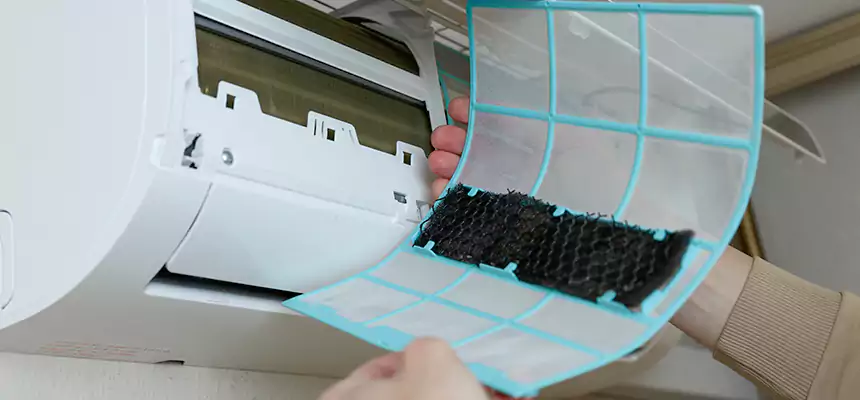 Gentle Ductwork Odor-Control Pet Dander Duct Cleaning in Atascocita, TX