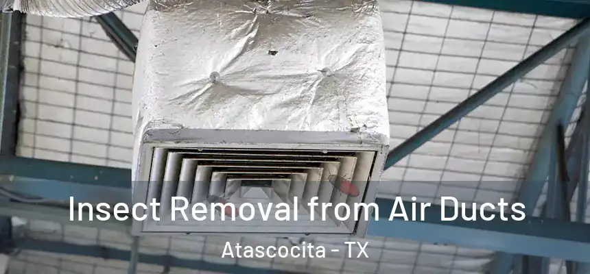 Insect Removal from Air Ducts Atascocita - TX