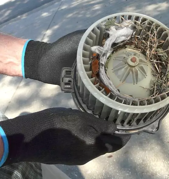 About Air Duct Mice Removal in Atascocita, TX