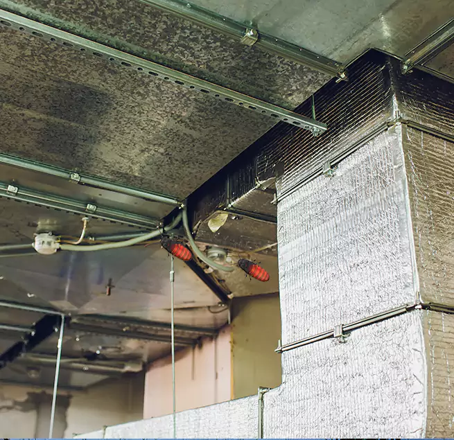 Why Homeowners & Businesses Trust Us in Atascocita, TX?